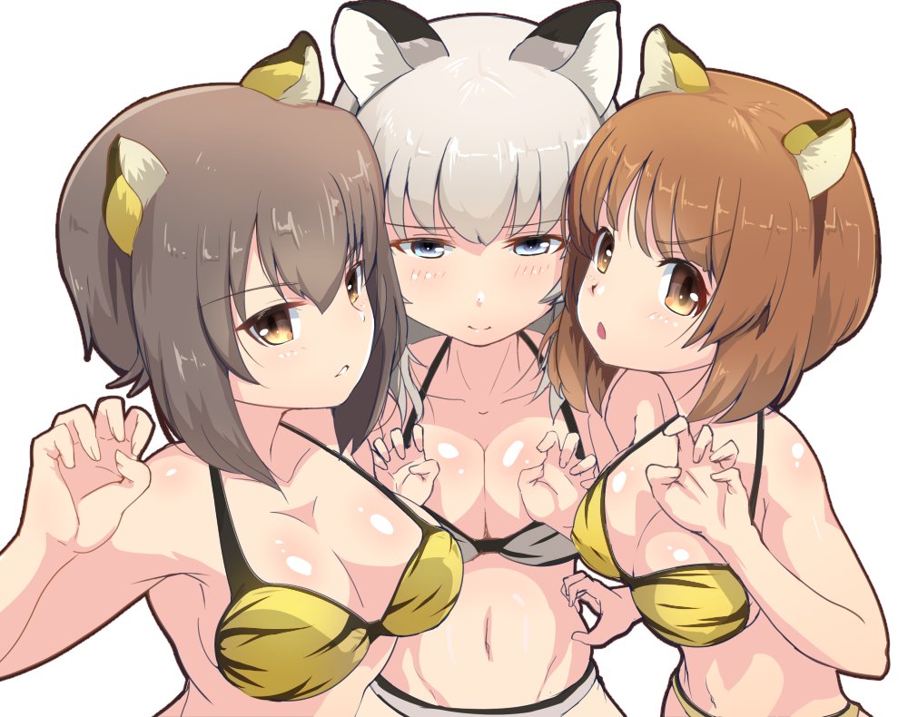 3girls, animal_ears, animal_print, bikini, blue_eyes, breasts, brown_eyes, brown_hair