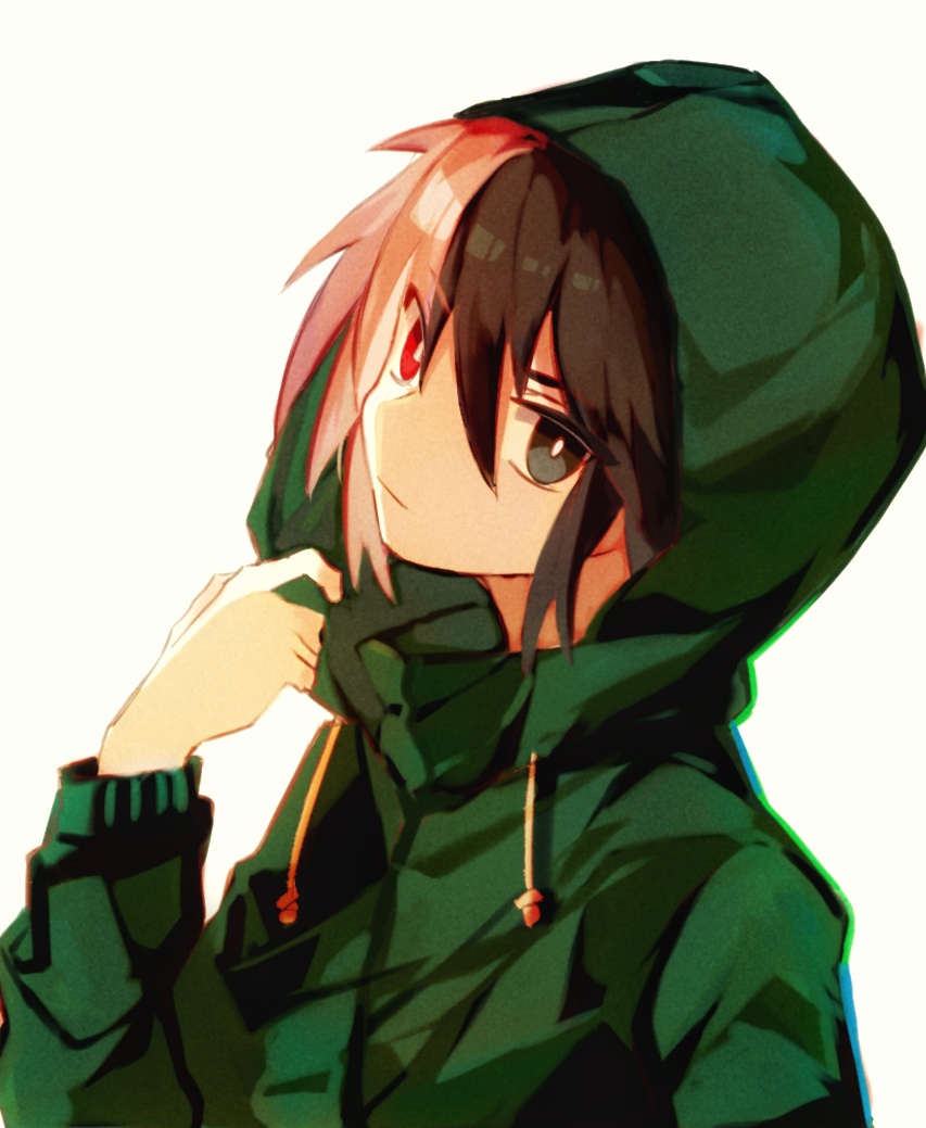 1boy, black_eyes, black_hair, bright_pupils, drawstring, film_grain, green_jacket, hair_between_eyes