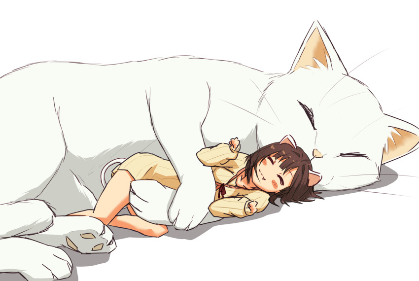 1girl, animal, animal_ears, bare_legs, breasts, brown_hair, cat, cat_ears