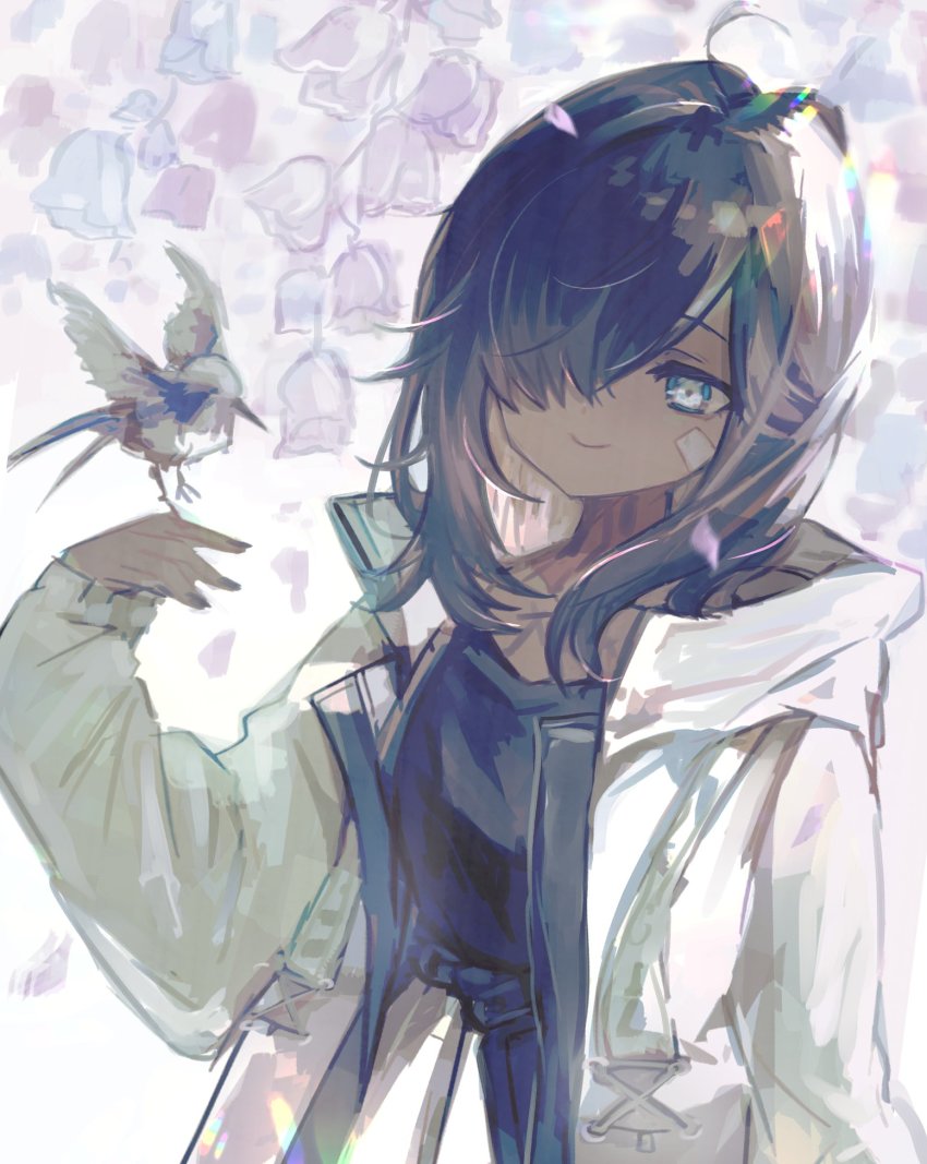 1girl, ahoge, arknights, bandaid, bandaid_on_face, bird, bird_on_hand, black_hair