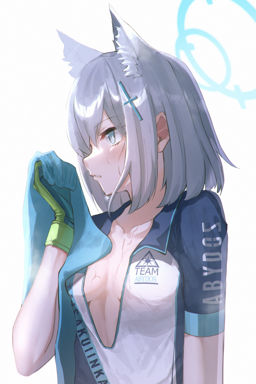 1girl, absurdres, animal_ear_fluff, animal_ears, bike_jersey, blue_archive, blue_eyes, blue_sleeves