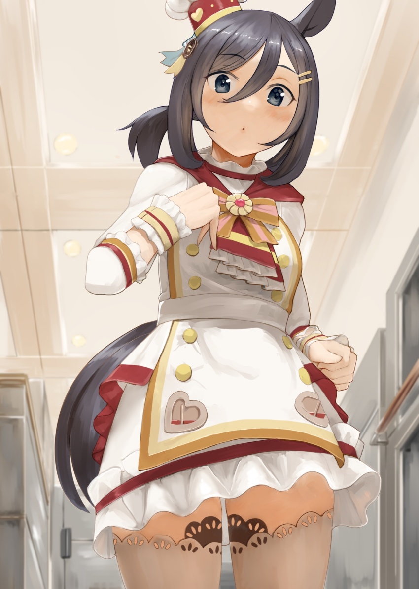 1girl, animal_ears, apron, black_hair, blue_eyes, bob_cut, brown_thighhighs, chef_hat