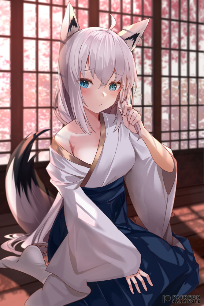 1girl, ahoge, animal_ears, bad_id, bad_twitter_id, blue_eyes, blue_hakama, blush, braid, closed_mouth, ear_piercing, fox_ears, fox_girl, fox_tail, hair_between_eyes, hakama, hand_on_own_knee, holding, holding_own_hair, hololive, indoors, japanese_clothes, kimono, long_hair, long_sleeves, looking_at_viewer, mujinbensin, piercing, shirakami_fubuki, shirakami_fubuki_(new_year), silver_hair, sitting, solo, tail, very_long_hair, virtual_youtuber, white_kimono
