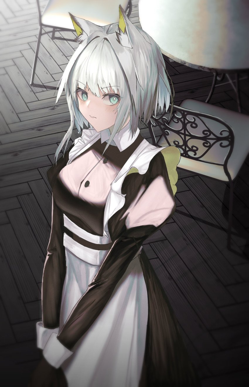 1girl, alternate_costume, animal_ears, arknights, blush, cat_ears, cat_girl, closed_mouth