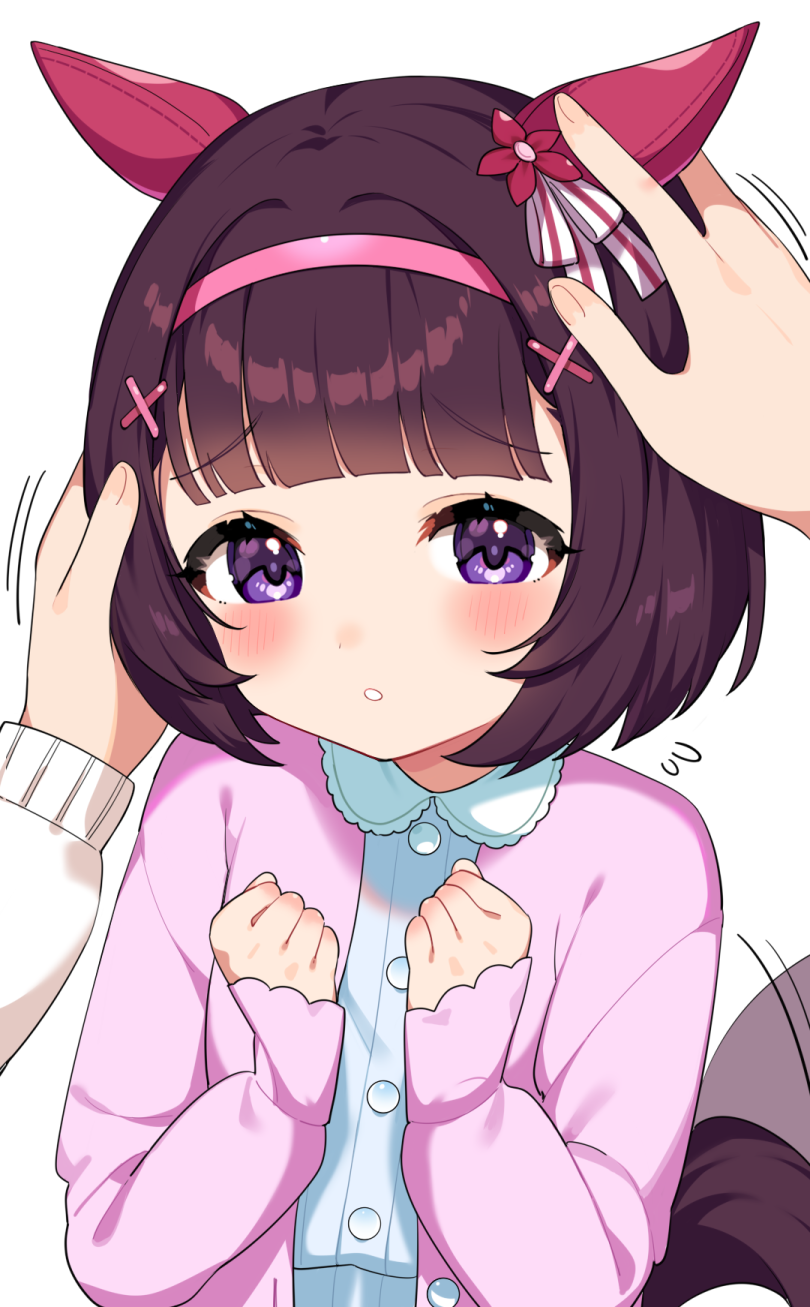 1girl, animal_ears, blush, casual, hair_ornament, headband, headpat, highres, horse_ears, horse_girl, horse_tail, inuyama_nanami, nishino_flower_(casual)_(umamusume), nishino_flower_(umamusume), pov, pov_hands, short_hair, simple_background, solo_focus, tail, tail_wagging, umamusume, white_background, x_hair_ornament