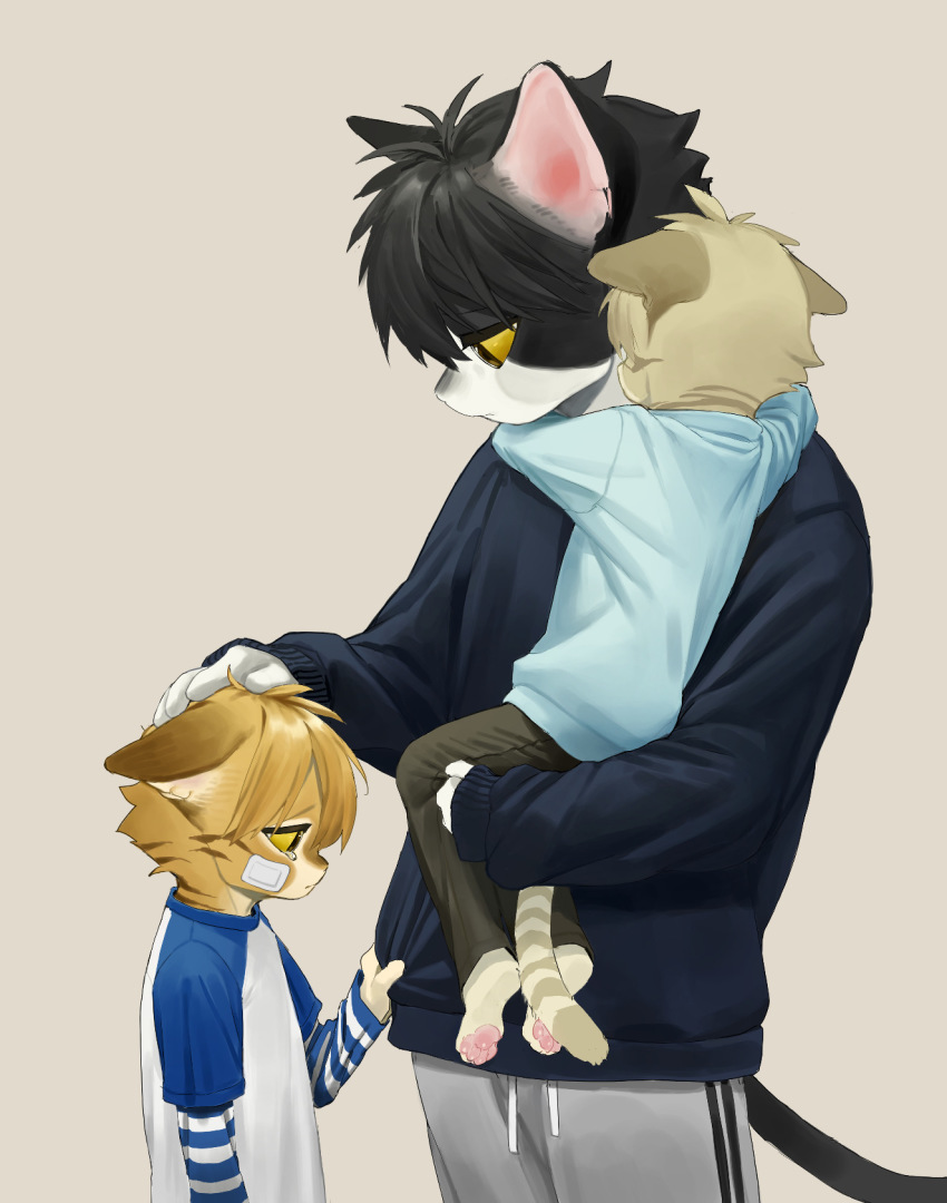 3boys, animal_ears, bandage_on_face, bandages, black_hair, cat_boy, cat_ears, cat_tail