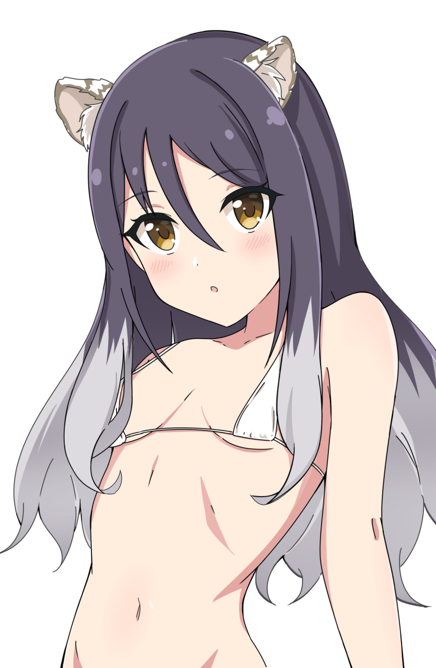 1girl, bikini, black_hair, blush, breasts, highres, kuroha_uma, long_hair