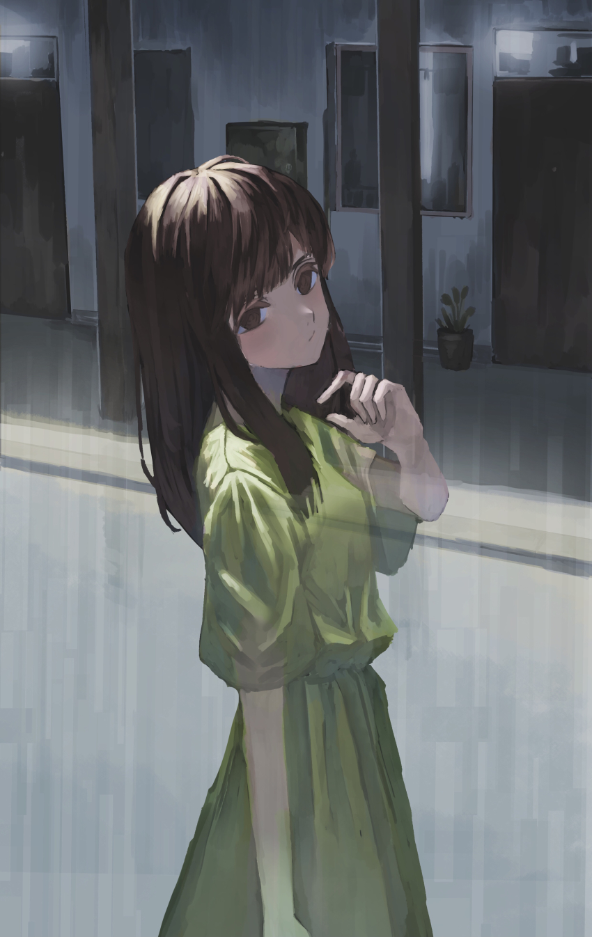 1girl, :/, absurdres, arm_at_side, brown_eyes, brown_hair, closed_mouth, cropped_legs, door, eyebrows_hidden_by_hair, flower_pot, from_side, ghost, green_shirt, green_skirt, hand_up, head_tilt, highres, long_hair, looking_at_viewer, natari, picture_frame, shirt, short_sleeves, skirt, skirt_set, solo, upper_body, vase