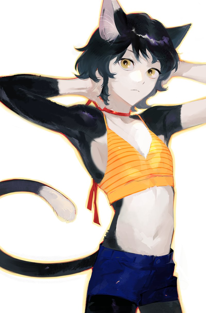 1girl, alternate_costume, animal_ears, armpits, arms_behind_back, arms_up, bad_id, bad_twitter_id, bare_shoulders, black_hair, blue_shorts, body_fur, camisole, cat_ears, cat_girl, cat_tail, choker, cowboy_shot, dungeon_meshi, flat_chest, frown, hands_in_own_hair, highres, izutsumi, looking_at_viewer, multicolored_fur, navel, red_ribbon, ribbon, ribbon_choker, short_hair, shorts, simple_background, sleeveless, spaghetti_strap, tail, toned, wawa_(wawawa0080), white_background, yellow_eyes