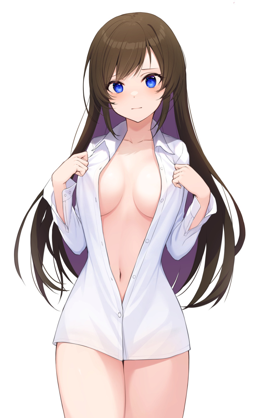 1girl, blouse, blue_eyes, breasts, breasts_apart, brown_hair, closed_mouth, collarbone