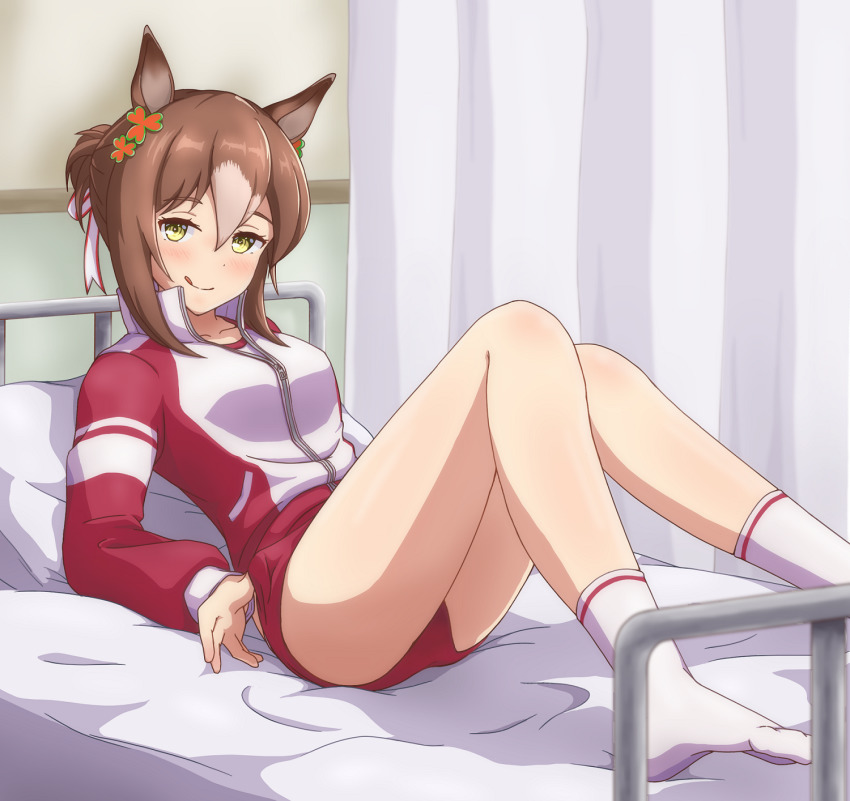 :p, alternate_costume, animal_ears, bed, breasts, brown_hair, buruma, come_hither