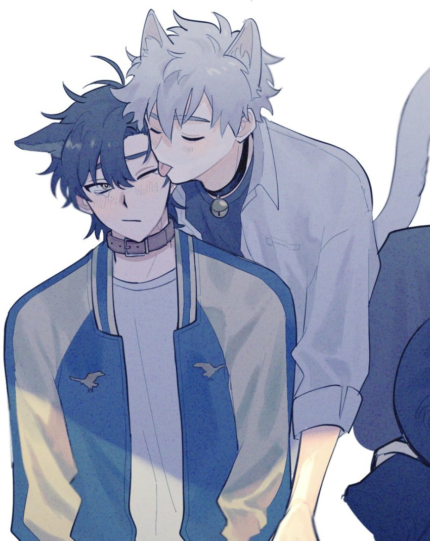 animal_ears, bell, black_collar, black_shirt, blue_jacket, blush, brown_collar, cat_boy