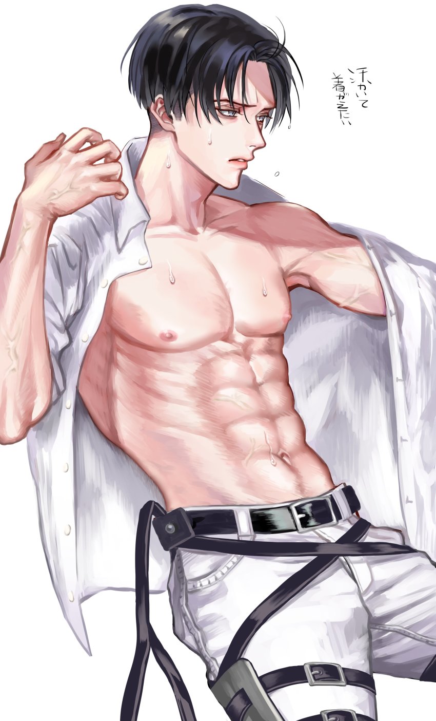 330armeria, absurdres, black_eyes, black_hair, highres, levi_(shingeki_no_kyojin), shingeki_no_kyojin, short_hair