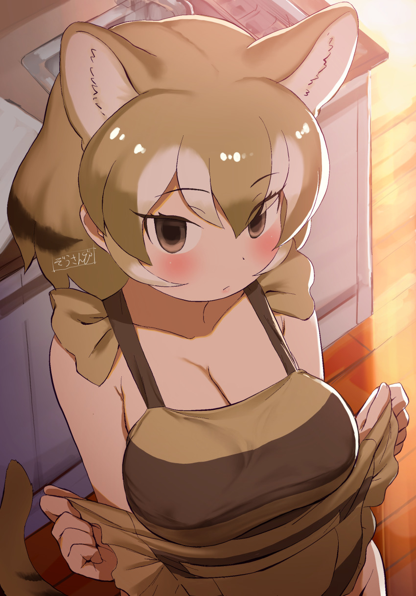 1girl, animal_ear_fluff, animal_ears, apron, apron_lift, bare_shoulders, black_hair, blush, breasts, brown_eyes, brown_hair, cleavage, closed_mouth, clothes_lift, collarbone, commentary, empty_eyes, extra_ears, eyes_visible_through_hair, grey_hair, groin, hair_between_eyes, highres, indoors, kemono_friends, large_breasts, lifting_own_clothes, light_brown_hair, looking_at_viewer, masuyama_ryou, medium_hair, multicolored_hair, naked_apron, out-of-frame_censoring, sidelocks, sink, solo, tail, thylacine_(kemono_friends), upper_body, white_hair
