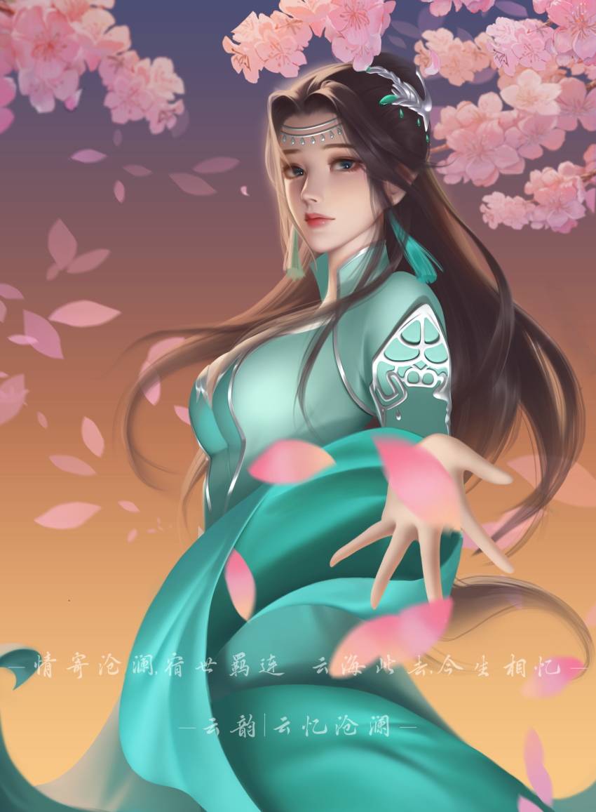1girl, absurdres, black_hair, blue_eyes, branch, doupo_cangqiong, dress, expressionless