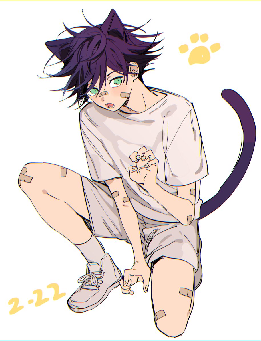 1boy, aged_down, animal_ears, bandaid, bandaid_on_arm, bandaid_on_face, bandaid_on_knee, bandaid_on_leg, bandaid_on_nose, black_hair, cat_boy, cat_ears, cat_tail, claw_pose, commentary_request, fangs, fingernails, fushiguro_megumi, green_eyes, jujutsu_kaisen, knee_up, looking_at_viewer, m167cm, male_focus, open_mouth, paw_print, paw_print_background, shirt, short_hair, short_sleeves, shorts, solo, spiked_hair, squatting, tail, white_shirt, white_shorts