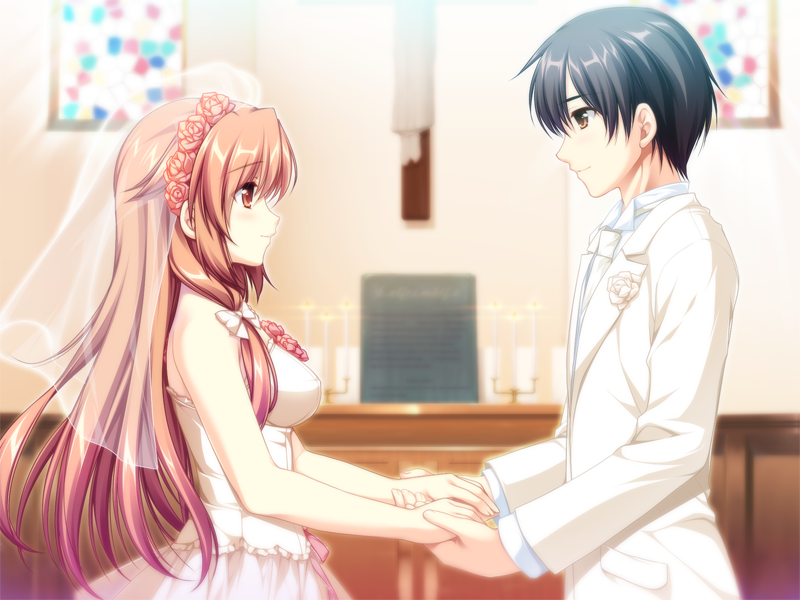 1boy, 1girl, alpha_(yukai_na_nakamatachi), black_hair, blurry, blurry_background, bridal_veil, brown_eyes