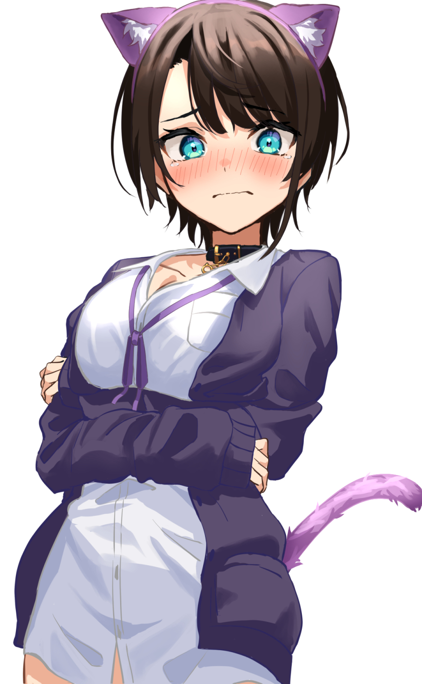 1girl, animal_ear_headwear, animal_ears, black_hair, blue_eyes, blush, cat_ears, cat_tail