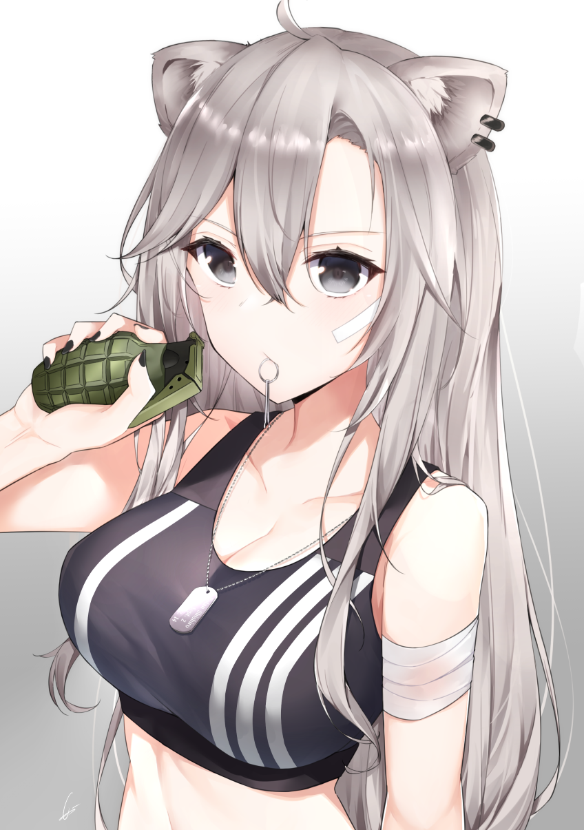 1girl, ahoge, animal_ears, bandaid, bandaid_on_face, bare_shoulders, blush, breasts