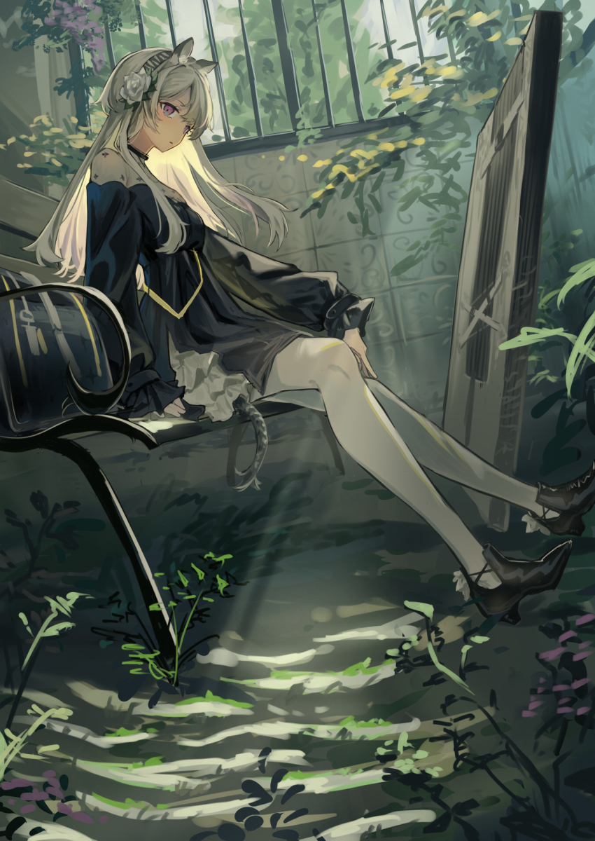 1girl, animal_ear_fluff, animal_ears, arknights, bench, black_dress, black_footwear, dark-skinned_female, dark_skin, day, dress, flower, from_side, full_body, gloves, hair_flower, hair_ornament, hairband, heavyrain_(arknights), heavyrain_(tranquil_moss)_(arknights), high_heels, highres, horse_ears, horse_tail, long_hair, long_sleeves, looking_at_viewer, looking_to_the_side, natsuba002, official_alternate_costume, pantyhose, park_bench, purple_eyes, rose, ruins, shield, silver_hair, sitting, solo, striped_clothes, striped_hairband, sunlight, tail, white_flower, white_gloves, white_rose, window