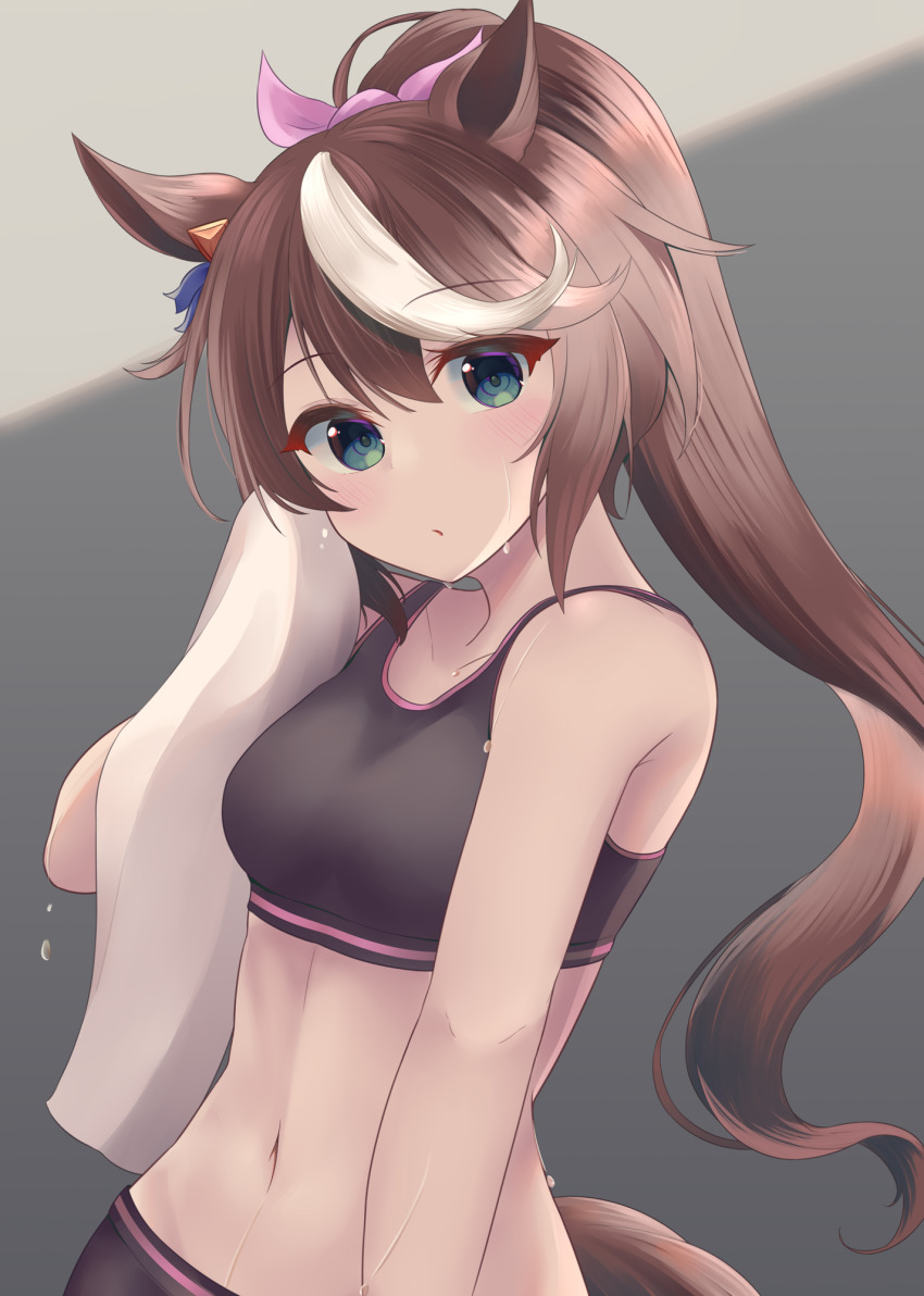 1girl, animal_ears, bare_shoulders, bike_shorts, black_sports_bra, blue_eyes, breasts, brown_hair
