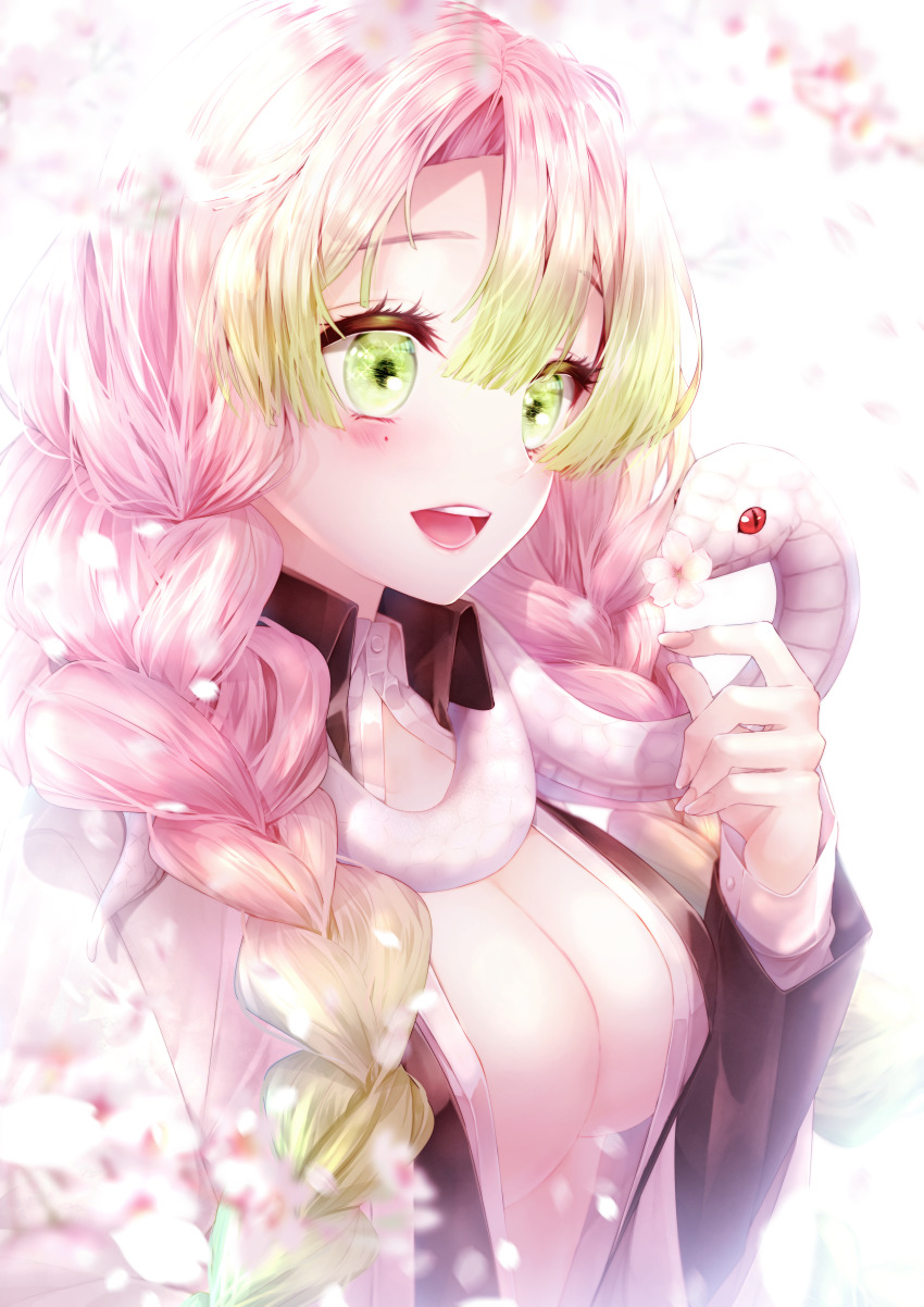 1girl, absurdres, animal, animal_around_neck, braid, breasts, center_opening, cherry_blossoms, cleavage, day, demon_slayer_uniform, eyelashes, flower, gradient_hair, green_eyes, green_hair, hair_between_eyes, hand_up, highres, kaburamaru, kanroji_mitsuri, kimetsu_no_yaiba, large_breasts, long_hair, long_sleeves, looking_at_animal, looking_away, mole, mole_under_eye, moririto, multicolored_hair, multiple_braids, nail_polish, nature, open_mouth, partially_unbuttoned, pink_flower, pink_hair, pink_nails, smile, snake, streaked_hair, tri_braids, two-tone_hair, upper_body, white_background, white_snake
