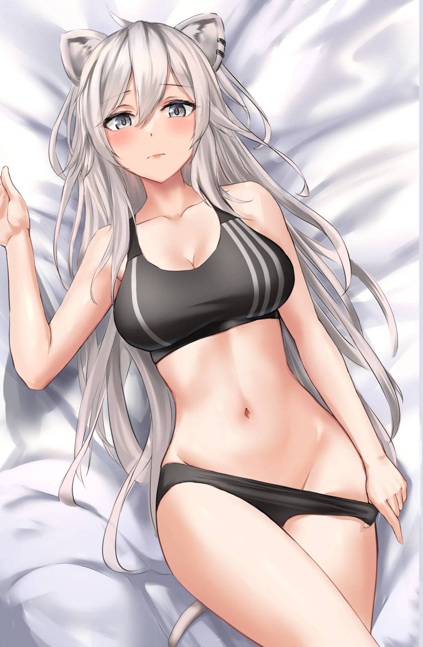 1girl, absurdres, animal_ears, bare_arms, bare_shoulders, bed_sheet, black_panties, black_shirt, blouse, breasts, cleavage, clothes_pull, collarbone, crop_top, edchi, female_focus, from_above, grey_eyes, grey_hair, highres, hololive, large_breasts, lion_ears, lion_girl, lion_tail, long_hair, looking_at_viewer, lying, midriff, navel, no_pants, on_back, panties, panty_pull, pulling_own_clothes, shirt, shishiro_botan, shishiro_botan_(button-down), sleeveless, sleeveless_shirt, solo, stomach, tail, thighs, underwear, very_long_hair, virtual_youtuber