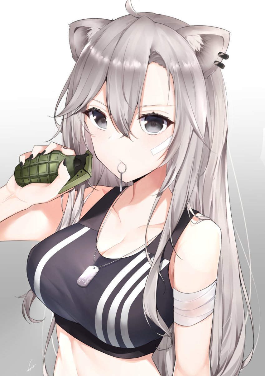 1girl, absurdres, ahoge, animal_ears, bandaged_arm, bandages, bandaid, bandaid_on_face