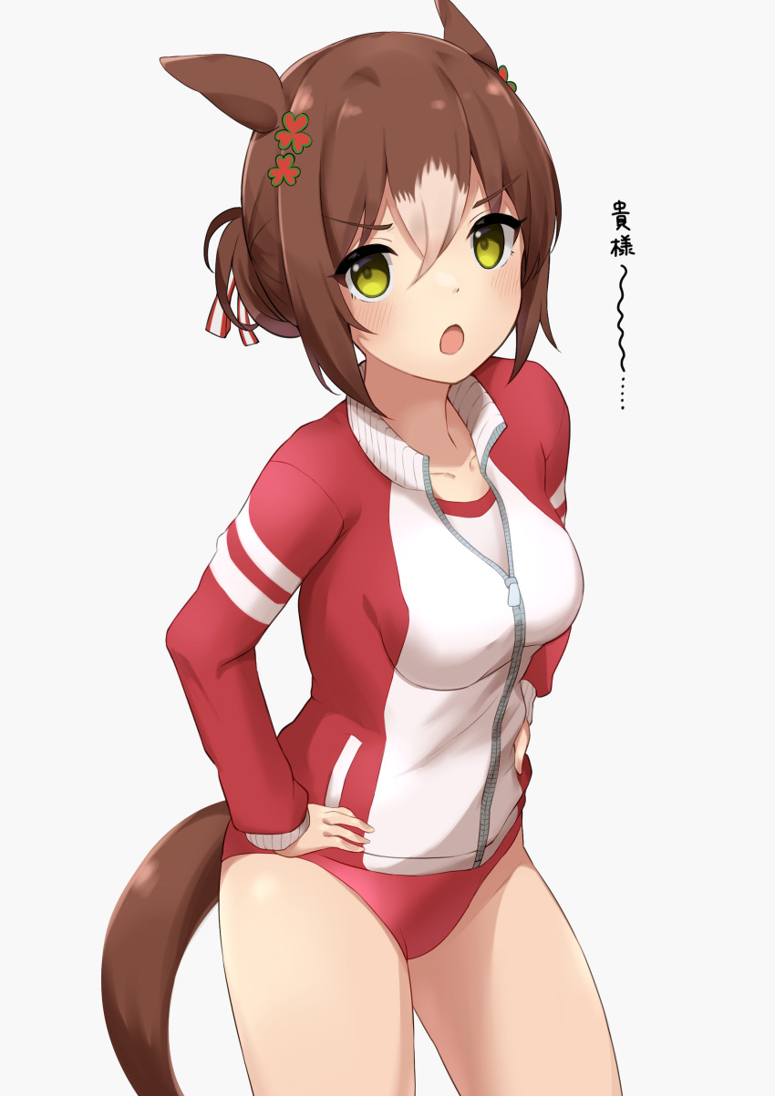 1girl, absurdres, alternate_costume, animal_ears, breasts, buruma, collarbone, commentary_request