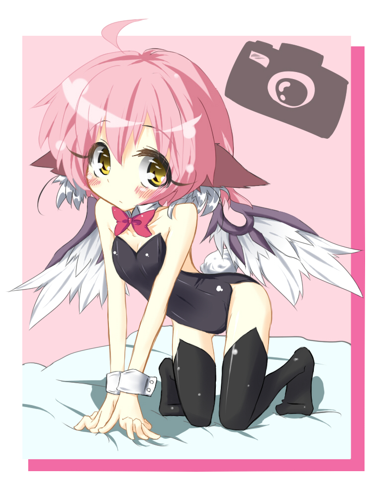 1girl, ahoge, all_fours, animal_ears, arm_support, bad_id, bad_pixiv_id, blush