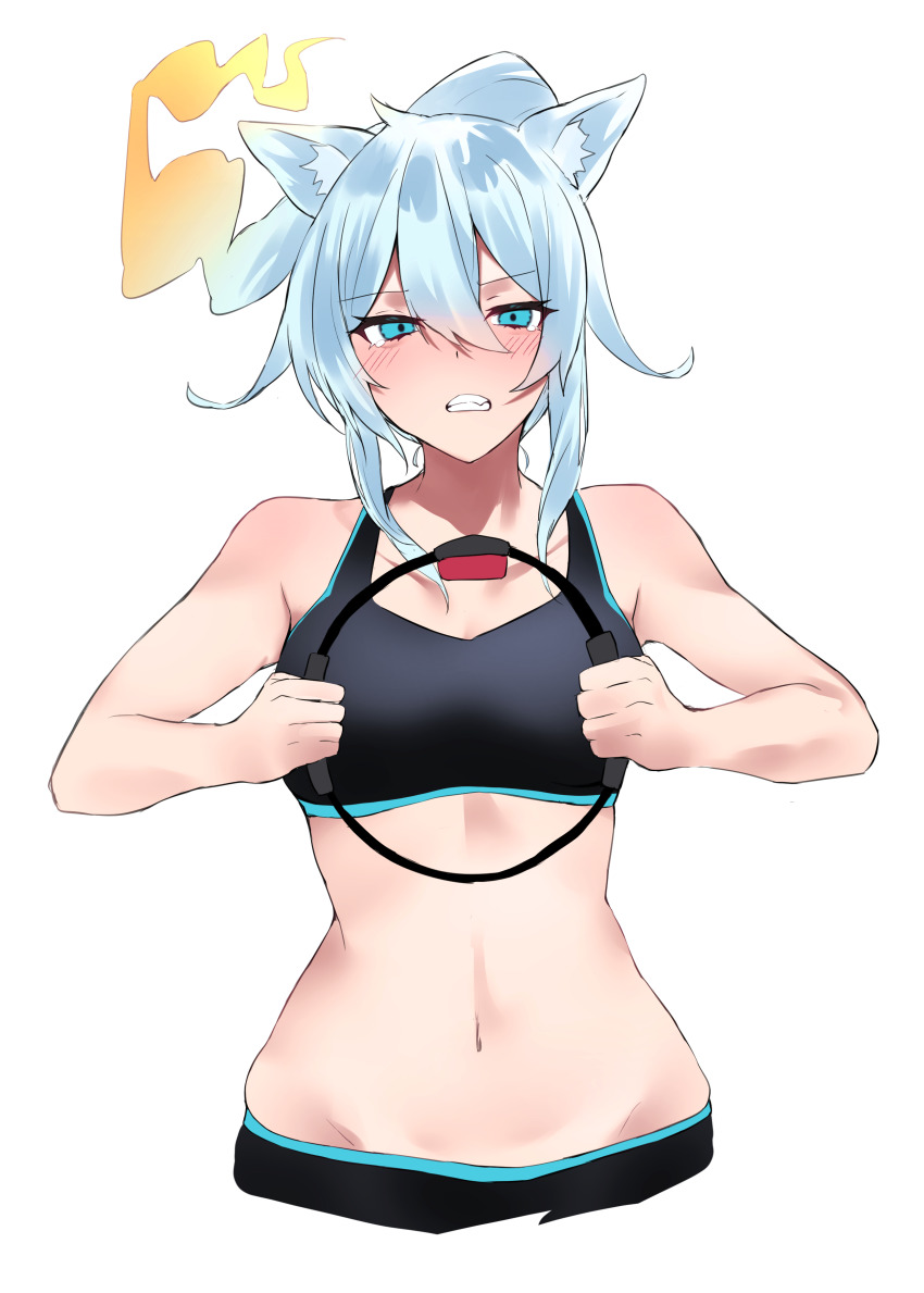 1girl, absurdres, animal_ear_fluff, animal_ears, bike_shorts, black_bra, black_shorts, blue_eyes