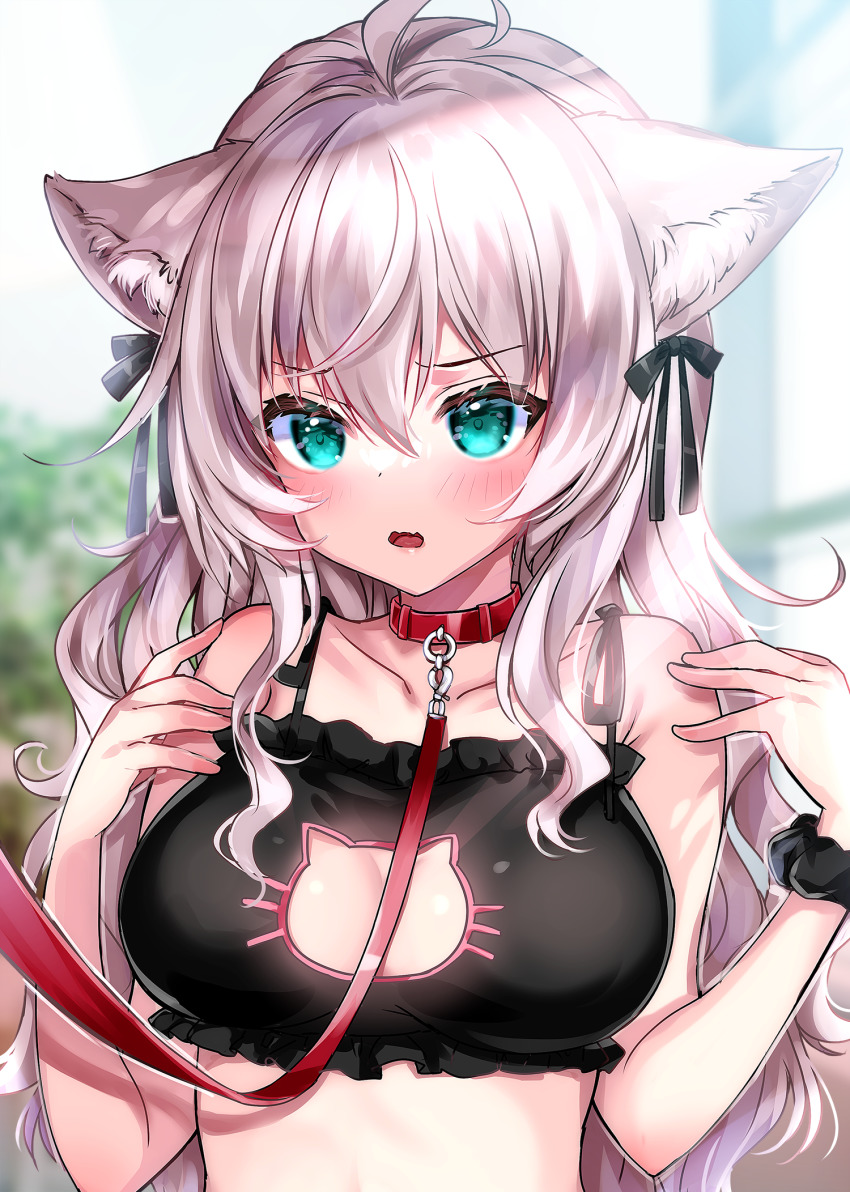 1girl, animal_ear_fluff, animal_ears, aqua_eyes, bare_arms, bare_shoulders, black_bra, black_scrunchie