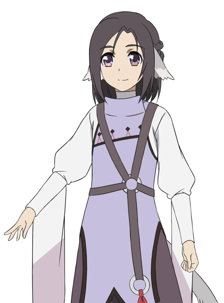 1boy, animal_ears, aquaplus, black_hair, braid, closed_mouth, cowboy_shot, gradient_eyes, highres, long_sleeves, medium_hair, multicolored_eyes, nakata_masahiko, official_art, purple_eyes, shichirya, sidelocks, smile, solo, standing, tail, transparent_background, utawarerumono, utawarerumono:_futari_no_hakuoro, utawarerumono:_itsuwari_no_kamen, white_fox_(company)