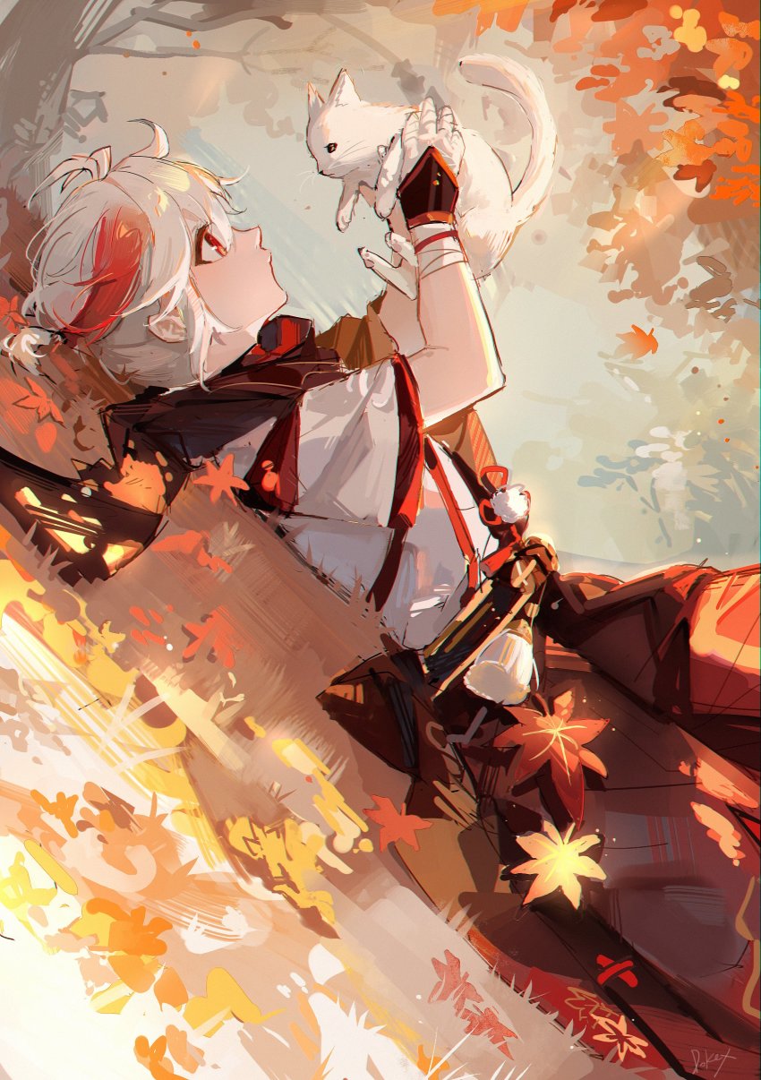 1boy, absurdres, animal, antenna_hair, autumn_leaves, bandages, cat, commentary