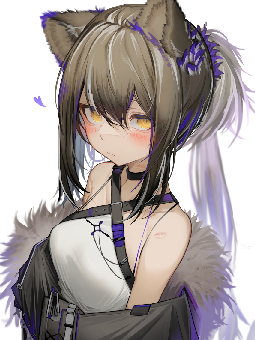 1girl, absurdres, animal_ears, arknights, bare_shoulders, black_choker, black_jacket, blush, breasts, brown_hair, choker, commentary, freckles, fur_trim, grey_hair, hair_between_eyes, heart, highres, jacket, lipstick_mark, looking_at_viewer, multicolored_hair, off_shoulder, official_alternate_costume, ponytail, purple_hair, raccoon_ears, robin_(arknights), robin_(gift_of_wild)_(arknights), shirt, sidelocks, simple_background, sleeveless, sleeveless_shirt, small_breasts, solo, streaked_hair, tab_head, white_background, white_shirt, yellow_eyes