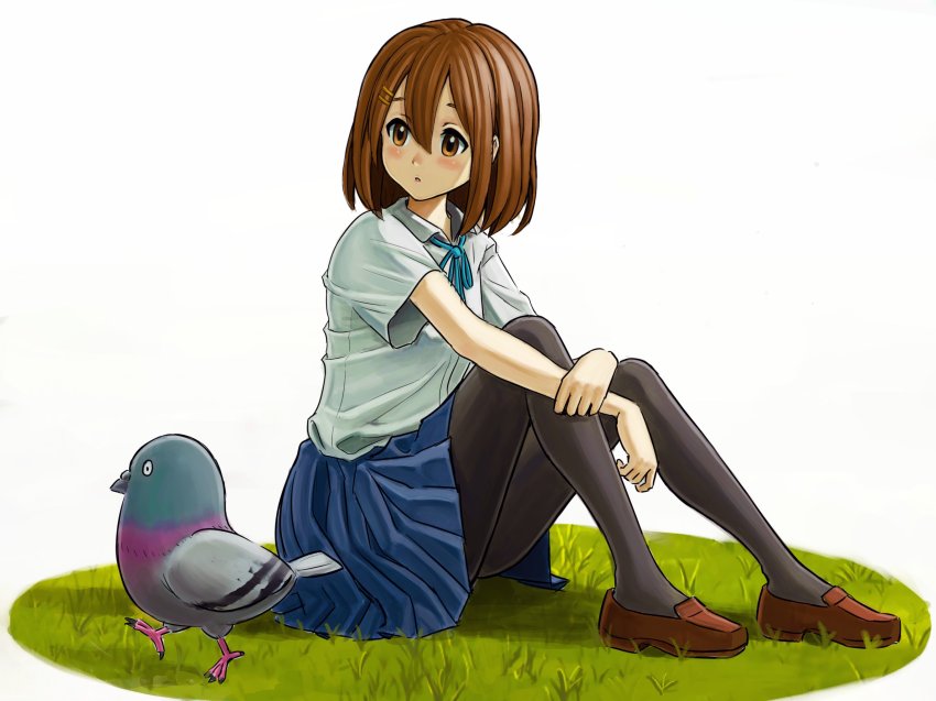 1girl, bird, black_pantyhose, blue_ribbon, blue_skirt, blush, bob_cut, brown_eyes