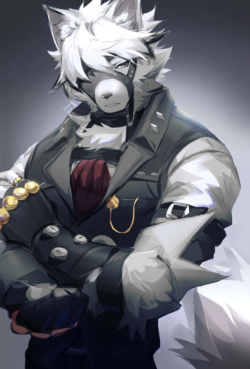 1boy, absurdres, animal_ears, eyepatch, fingerless_gloves, furry, furry_male, gloves, grey_eyes, grey_shirt, highres, looking_to_the_side, shabi96522, shirt, simple_background, solo, teeth, upper_body, von_lycaon, white_fur, white_hair, wolf_boy, wolf_ears, zenless_zone_zero