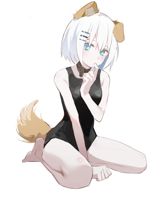1girl, animal_ears, bag, bare_arms, bare_legs, barefoot, between_legs, black_one-piece_swimsuit, blue_eyes, breasts, brown_collar, collar, date_a_live, dog_ears, dog_tail, full_body, hair_between_eyes, hair_ornament, hairclip, hand_between_legs, kemonomimi_mode, looking_at_viewer, medium_hair, nogi_lace, one-piece_swimsuit, school_swimsuit, simple_background, sitting, sketch, small_breasts, solo, swimsuit, tail, tobiichi_origami, wariza, white_background, white_hair
