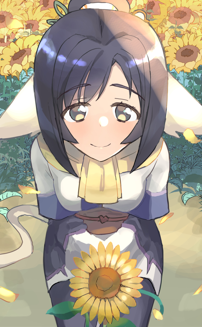 1girl, ainu_clothes, animal_ears, aquaplus, black_hair, blush, breasts, cat_tail