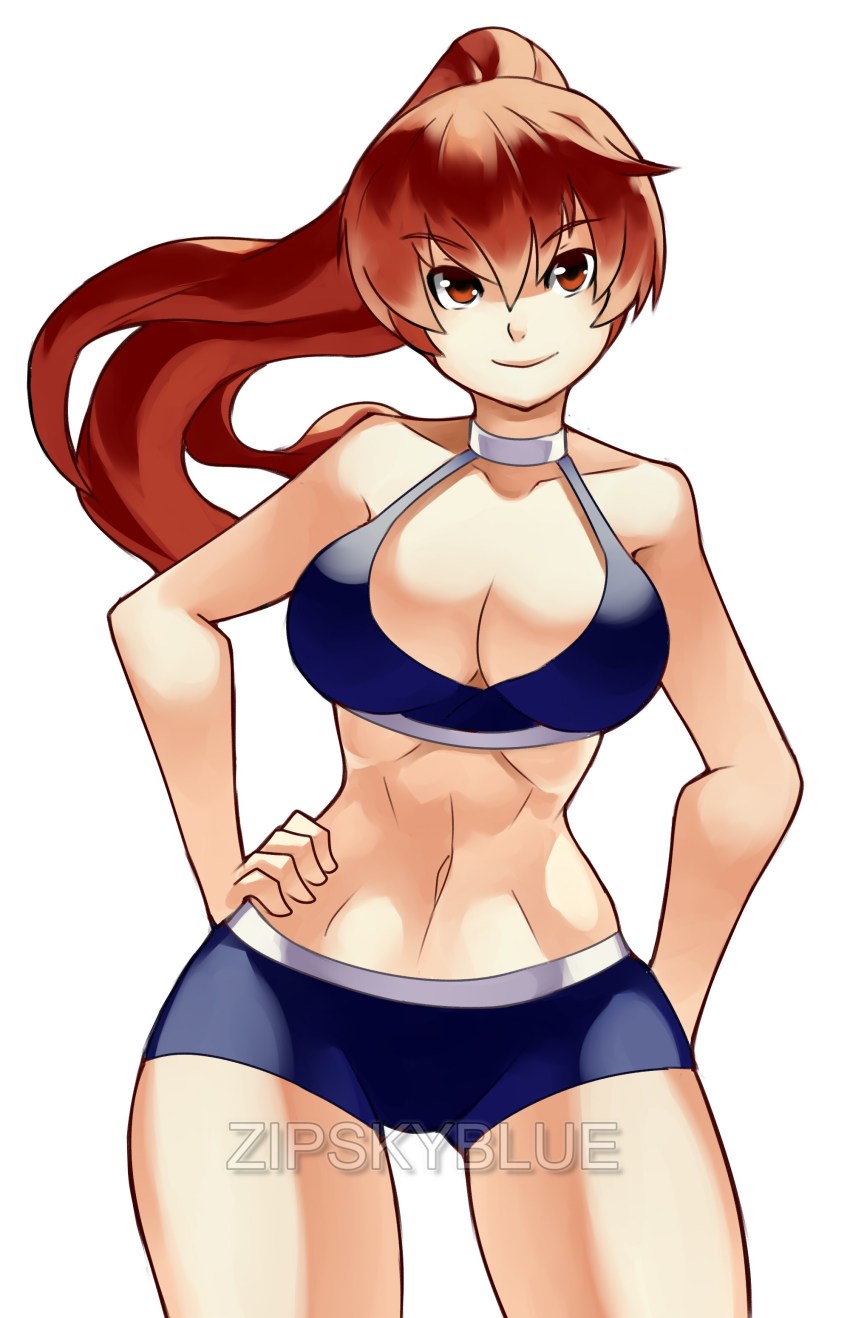 absurdres, breasts, brown_eyes, brown_hair, dead_or_alive, high_ponytail, highres, kasumi_(doa)