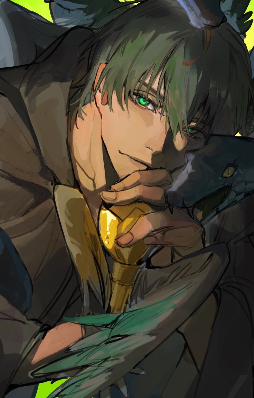 1boy, brown_robe, feathered_wings, final_fantasy, final_fantasy_xiv, green_eyes, green_hair, gslkey