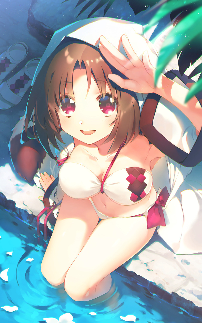 1girl, ainu_clothes, aquaplus, arm_up, arms_up, artist_request, bare_shoulders, blush, breasts, brown_hair, cleavage, collarbone, crop_top, from_above, gradient_eyes, hair_between_eyes, highres, hood, hooded_jacket, hoodie, in_water, inui_(utawarerumono), jacket, large_breasts, long_sleeves, looking_at_viewer, midriff, multicolored_eyes, official_art, open_mouth, raised_eyebrows, red_eyes, sidelocks, sitting, sleeveless, solo, swimsuit, tail, teeth, thighs, thighs_together, tongue, utawarerumono, utawarerumono:_lost_flag, wide_sleeves