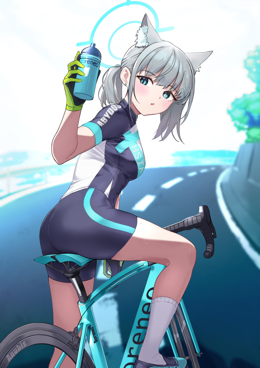 absurdres, animal_ear_fluff, animal_ears, bicycle, bike_jersey, bike_shorts, biker_clothes, bikesuit