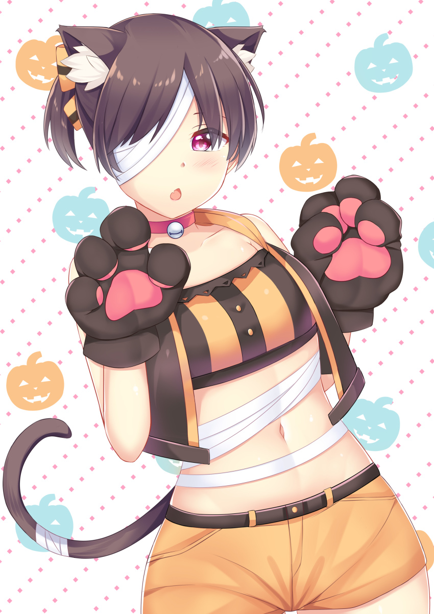 absurdres, animal_ears, animal_hands, brown_hair, cat_ears, cat_paws, cat_tail, go!_go!_nippon!