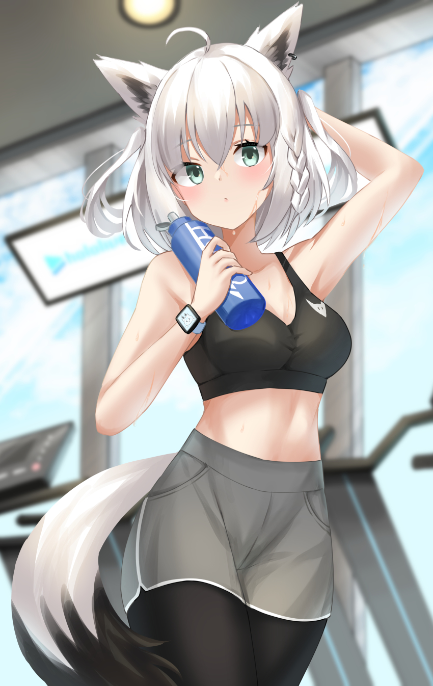 1girl, absurdres, ahoge, animal_ears, arm_behind_head, black_bra, black_legwear, blurry, blurry_background, blush, bottle, bra, braid, breasts, commentary, earrings, fitness_gym, fox_ears, fox_girl, fox_tail, green_eyes, grey_shorts, hair_between_eyes, highres, holding, holding_bottle, hololive, indoors, jewelry, looking_at_viewer, shirakami_fubuki, short_hair, short_shorts, shorts, sidelocks, single_braid, small_breasts, solo, sports_bra, sweat, tail, toui_penko, underwear, virtual_youtuber, watch, white_hair, wristwatch