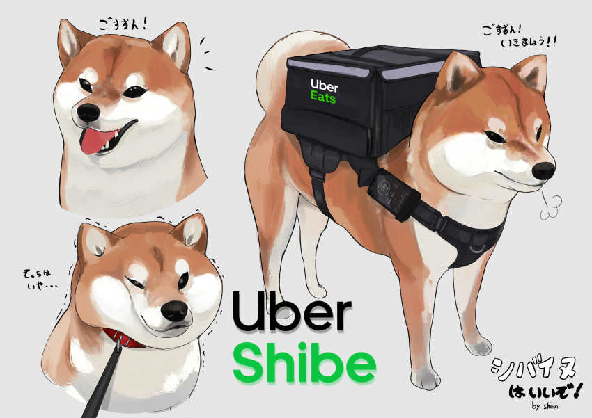 absurdres, animal, aster_drawing, backpack, bag, black_bag, brown_fur, cellphone, dog, highres, leash, no_humans, original, phone, shiba_inu, smartphone, tongue, translation_request, uber_eats, white_fur