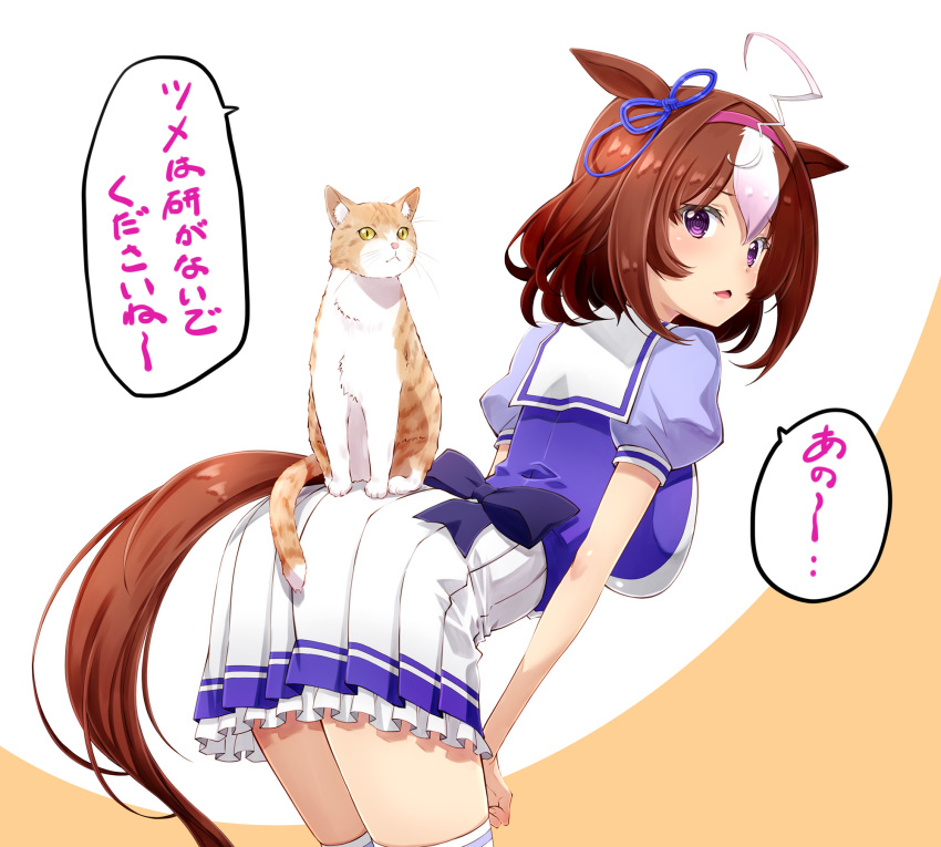 1girl, ahoge, animal_ears, breasts, brown_hair, cat, cat_on_ass, hairband