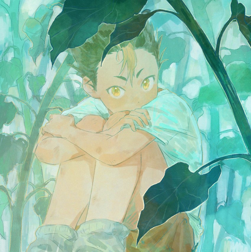 1boy, aqua_theme, black_hair, blonde_hair, brown_shorts, covered_mouth, crossed_arms, day, feet_out_of_frame, haikyuu!!, highres, hugging_own_legs, knees_up, leaf, male_focus, multicolored_hair, nature, nishinoya_yuu, outdoors, shirt, short_hair, short_sleeves, shorts, shuitongyang, sitting, socks, solo, spiked_hair, streaked_hair, t-shirt, two-tone_hair, white_shirt, white_socks, yellow_eyes