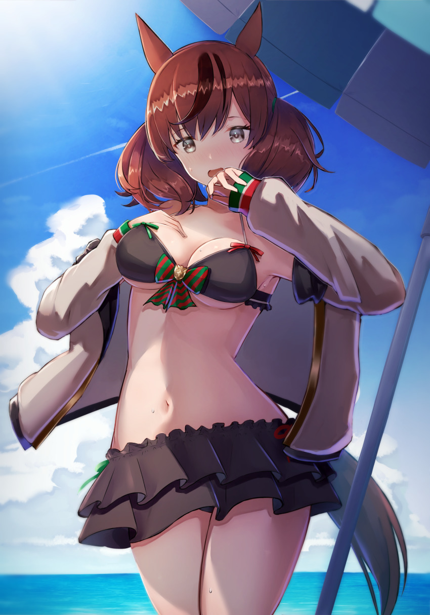 1girl, alternate_costume, animal_ears, bikini, black_bikini, blush, breasts, brown_eyes