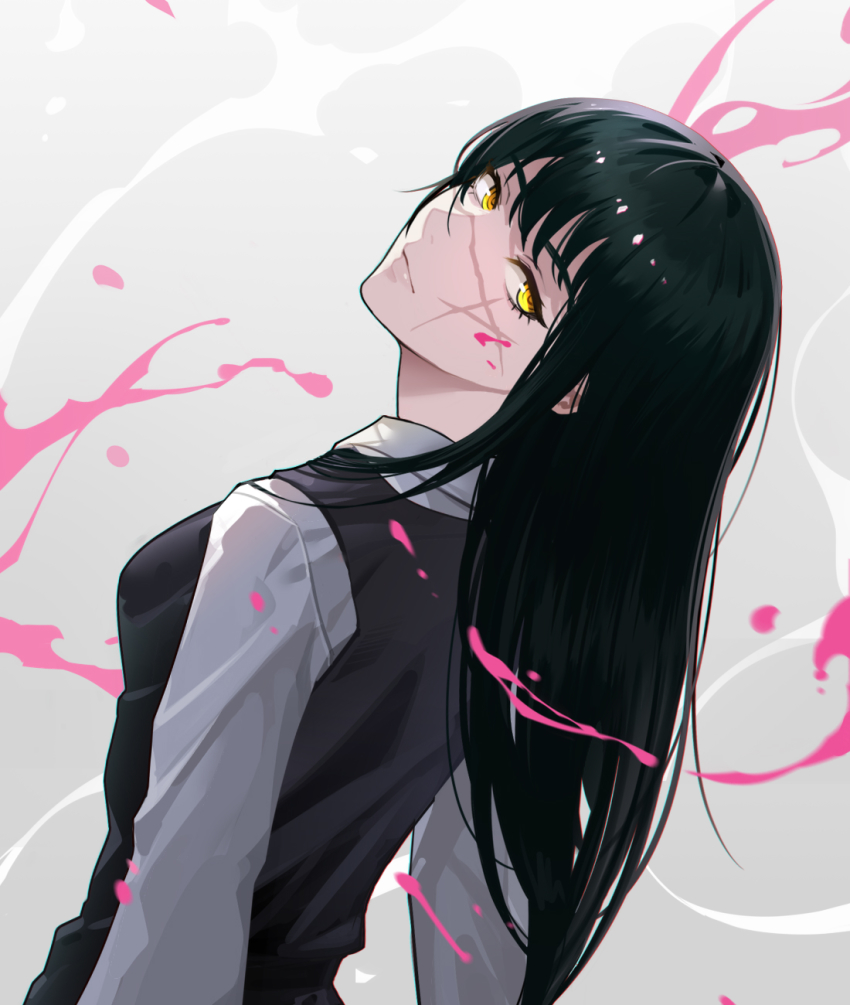 1girl, black_hair, chainsaw_man, facial_scar, head_tilt, highres, lifyter, long_hair